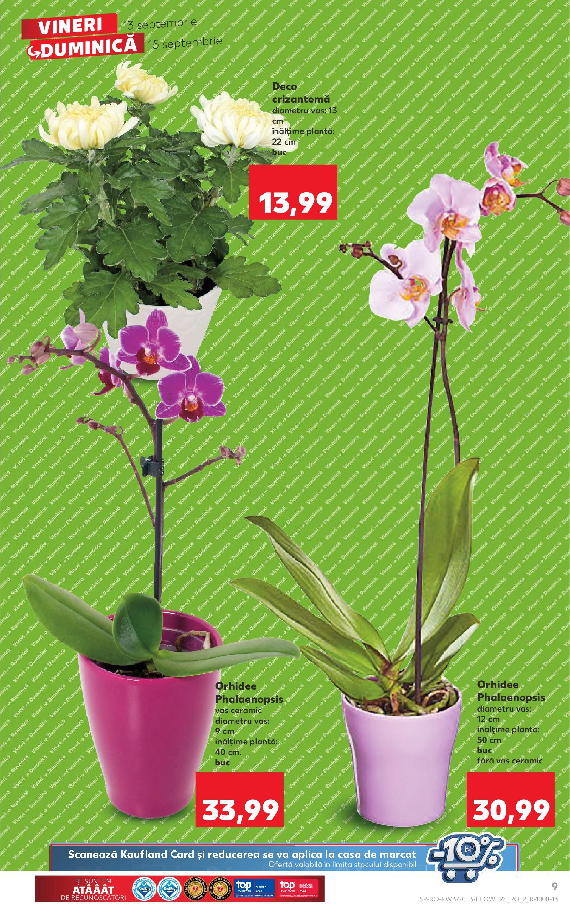 Catalog Kaufland 13 - 15 Septembrie 2024 | Pagina 9
