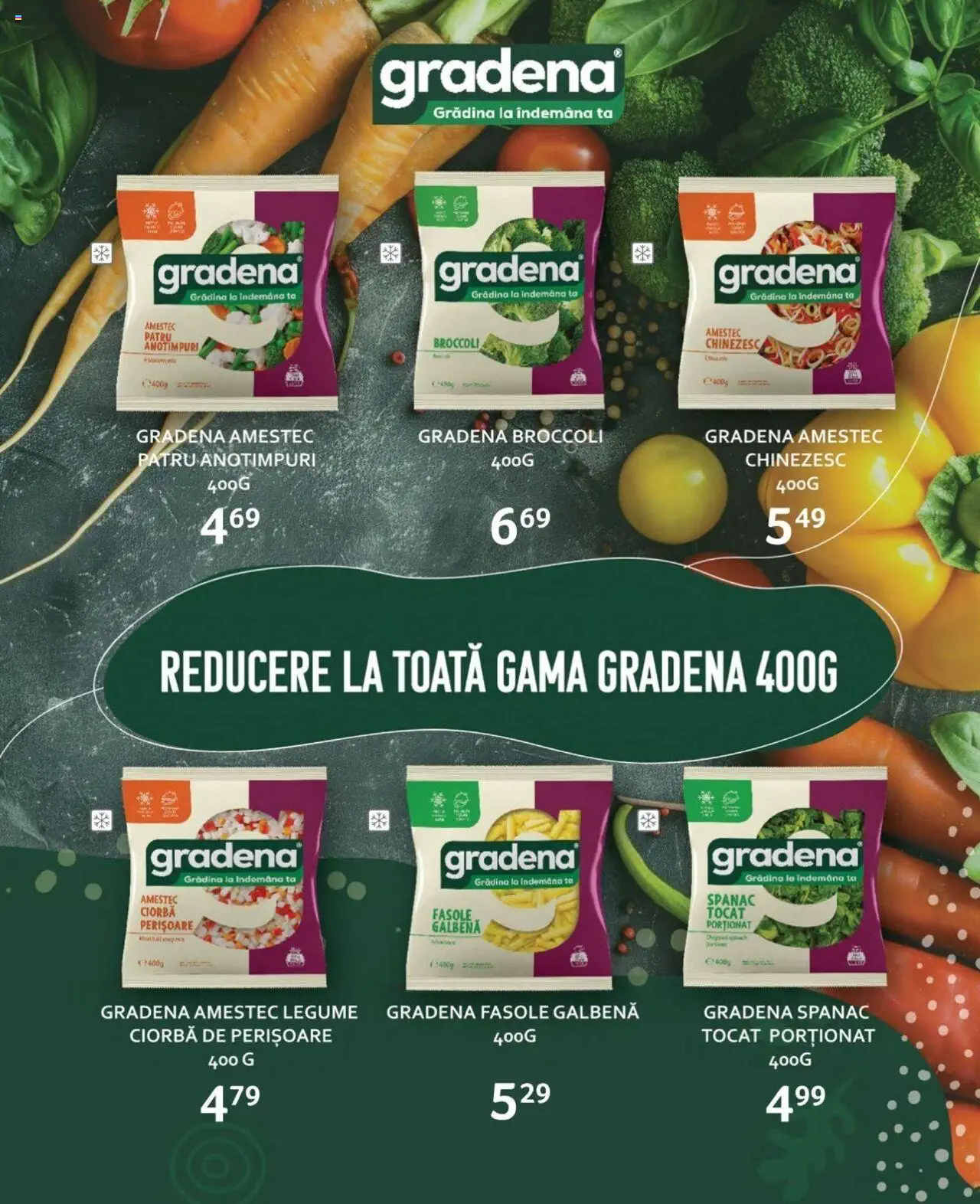 Catalog Selgros 20 Septembrie - 3 Octombrie 2024 | Pagina 11