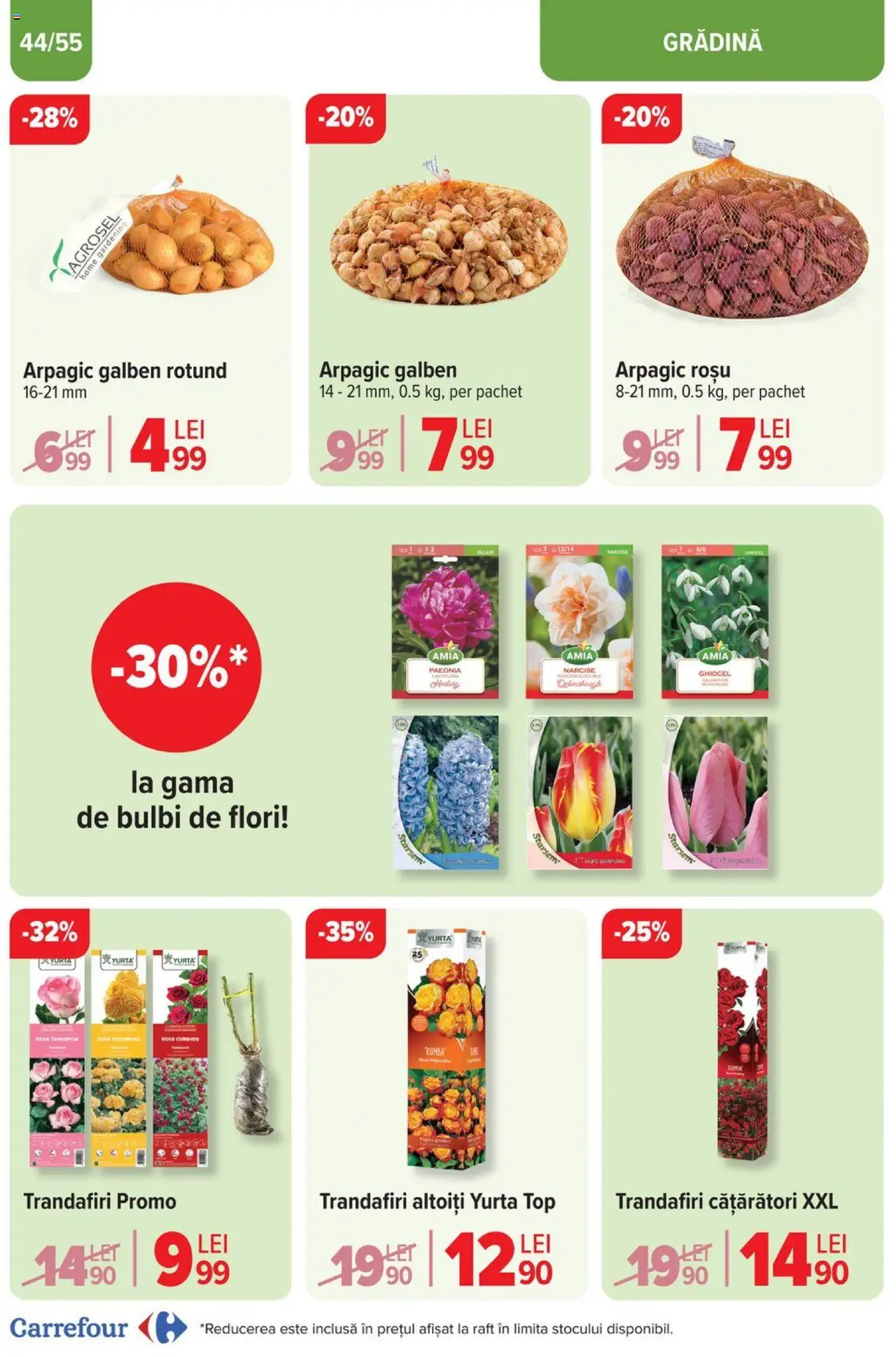 Catalog Carrefour 25 Septembrie - 29 Octombrie 2024 | Pagina 44