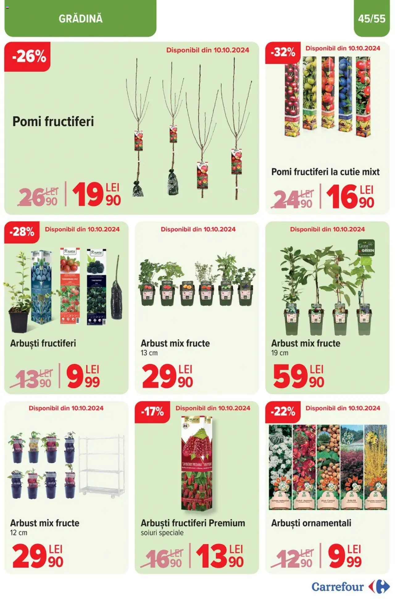 Catalog Carrefour 25 Septembrie - 29 Octombrie 2024 | Pagina 45