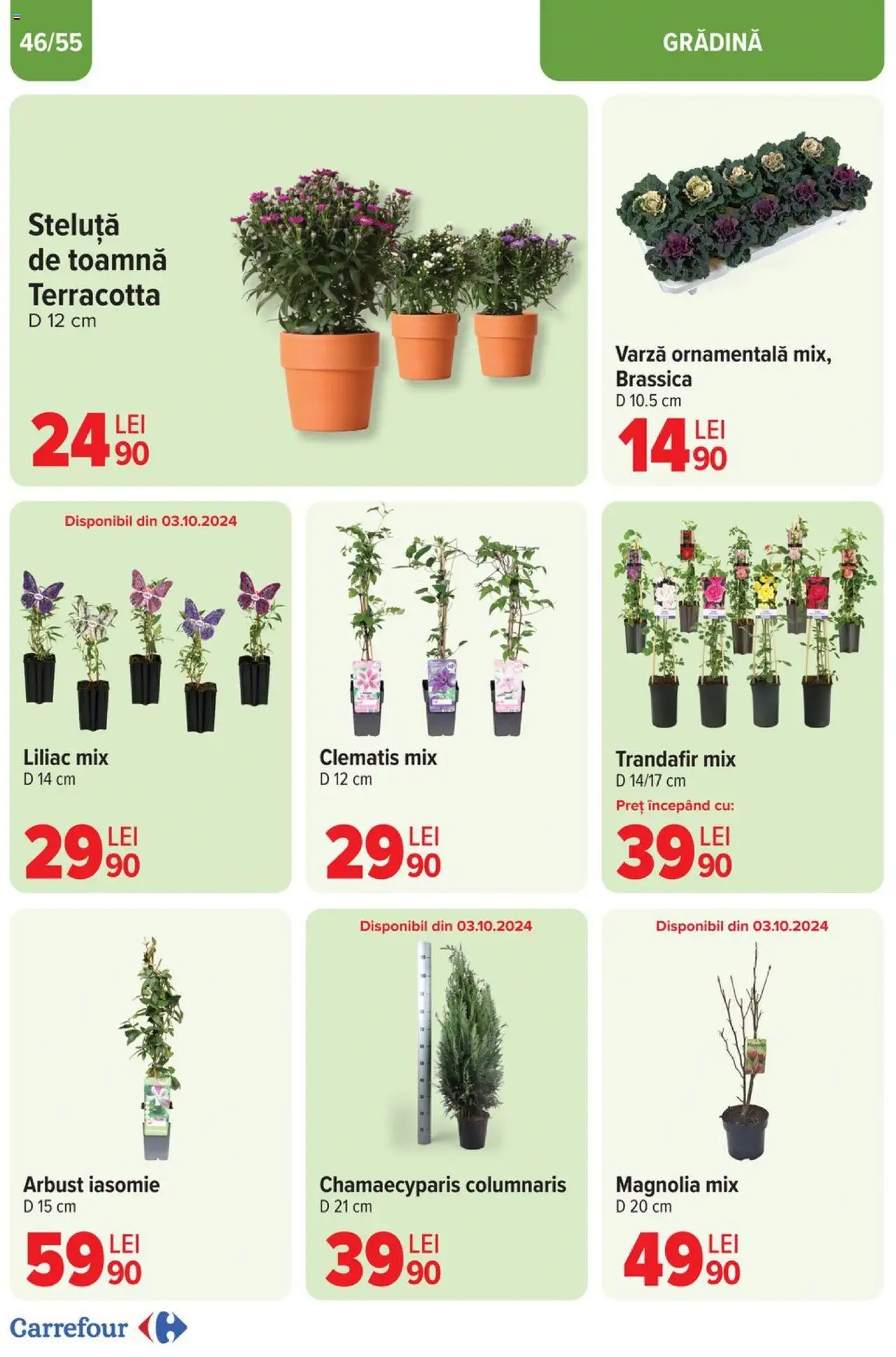 Catalog Carrefour 25 Septembrie - 29 Octombrie 2024 | Pagina 46