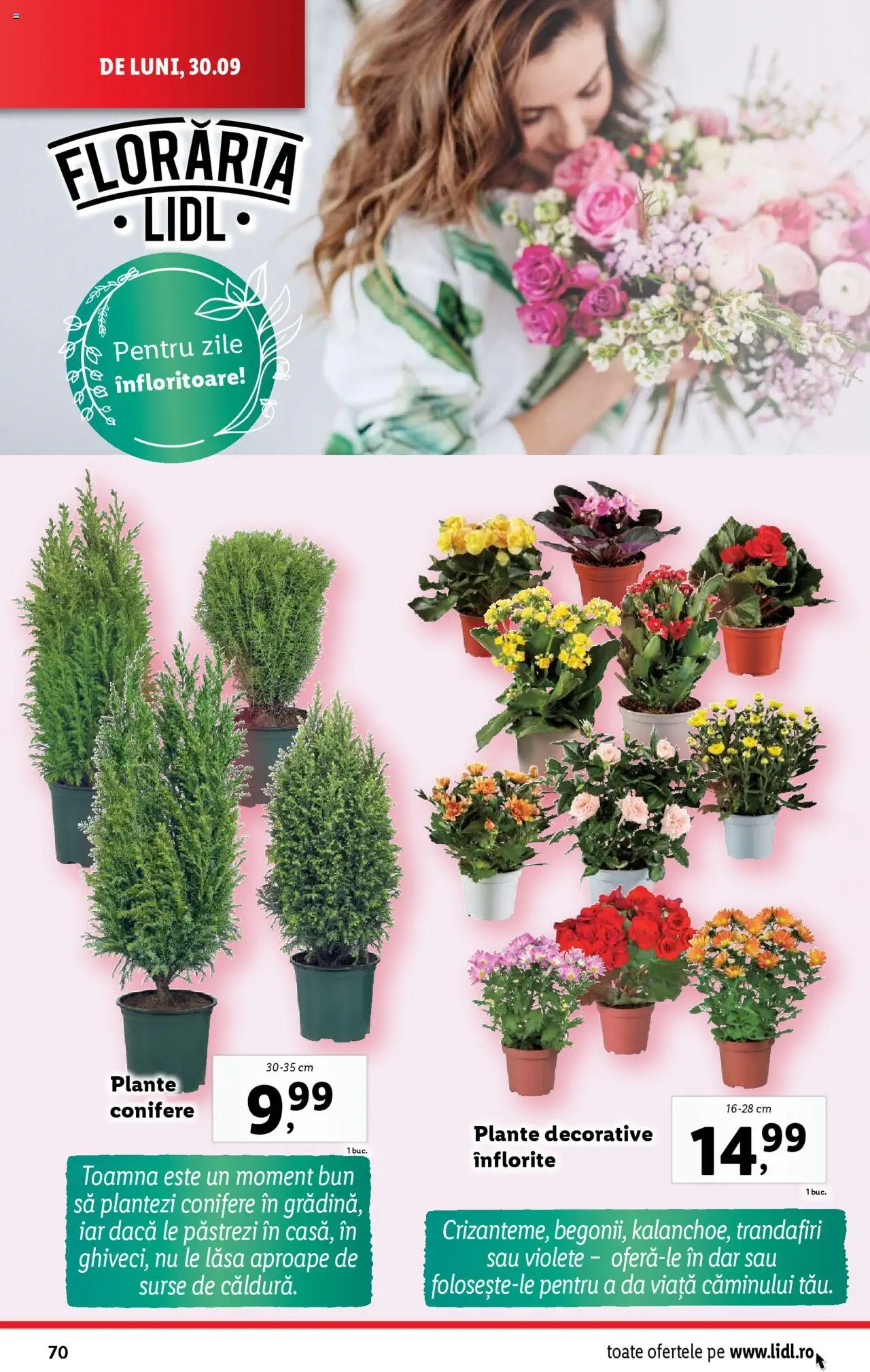 Catalog LIDL 30 Septembrie - 6 Octombrie 2024 | Pagina 70