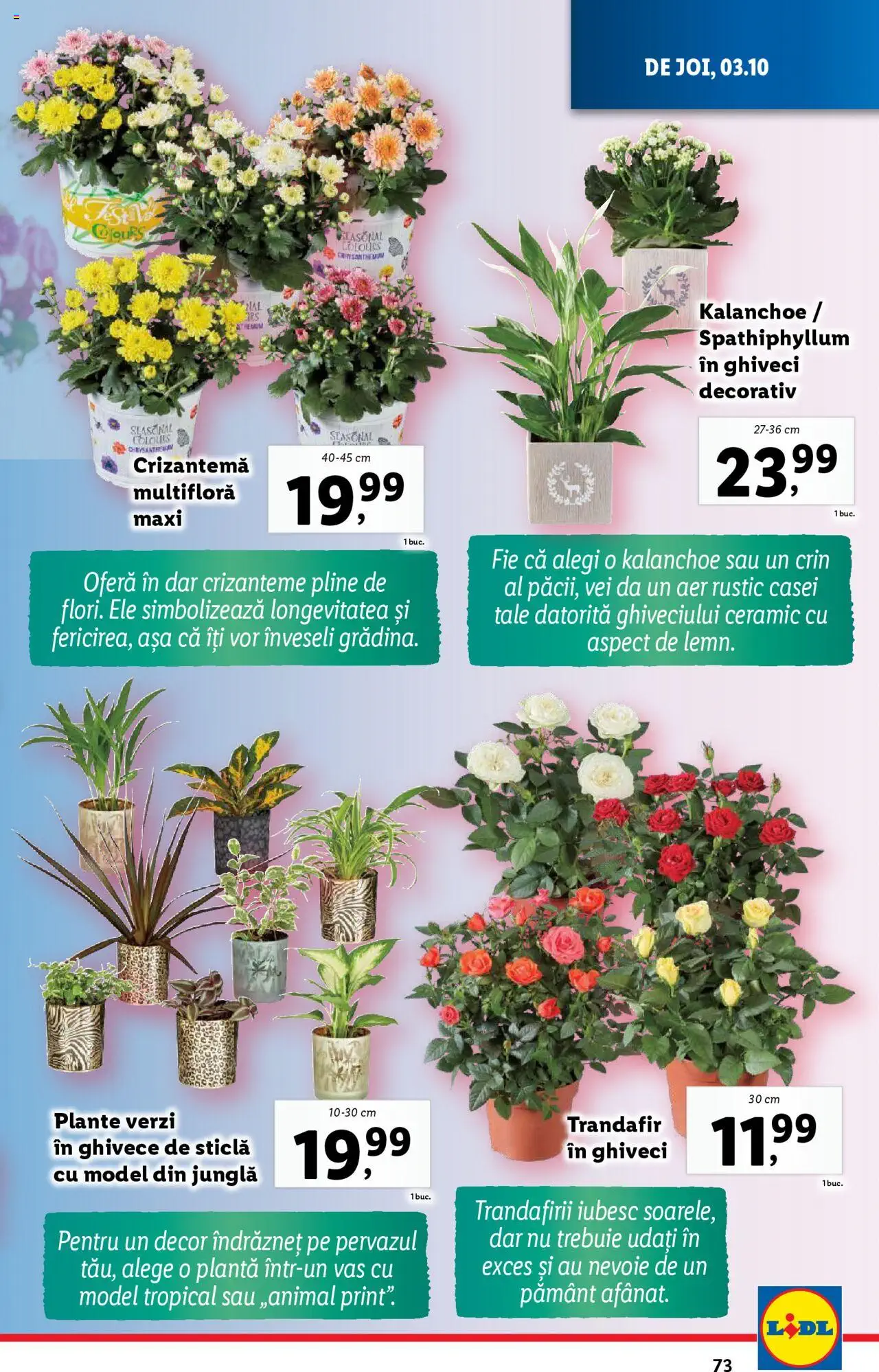 Catalog LIDL 30 Septembrie - 6 Octombrie 2024 | Pagina 73