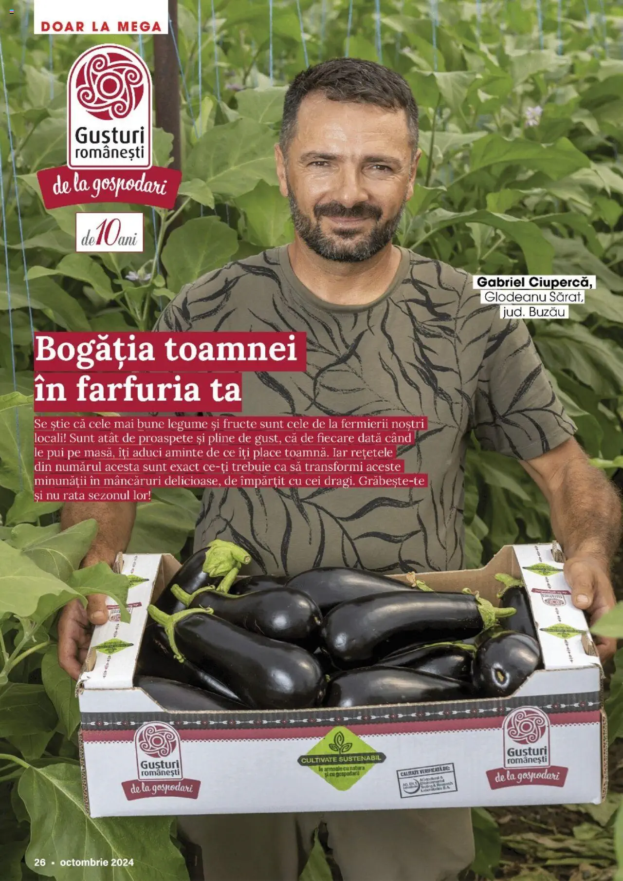 Catalog Mega Image 26 Septembrie - 29 Octombrie 2024 | Pagina 26