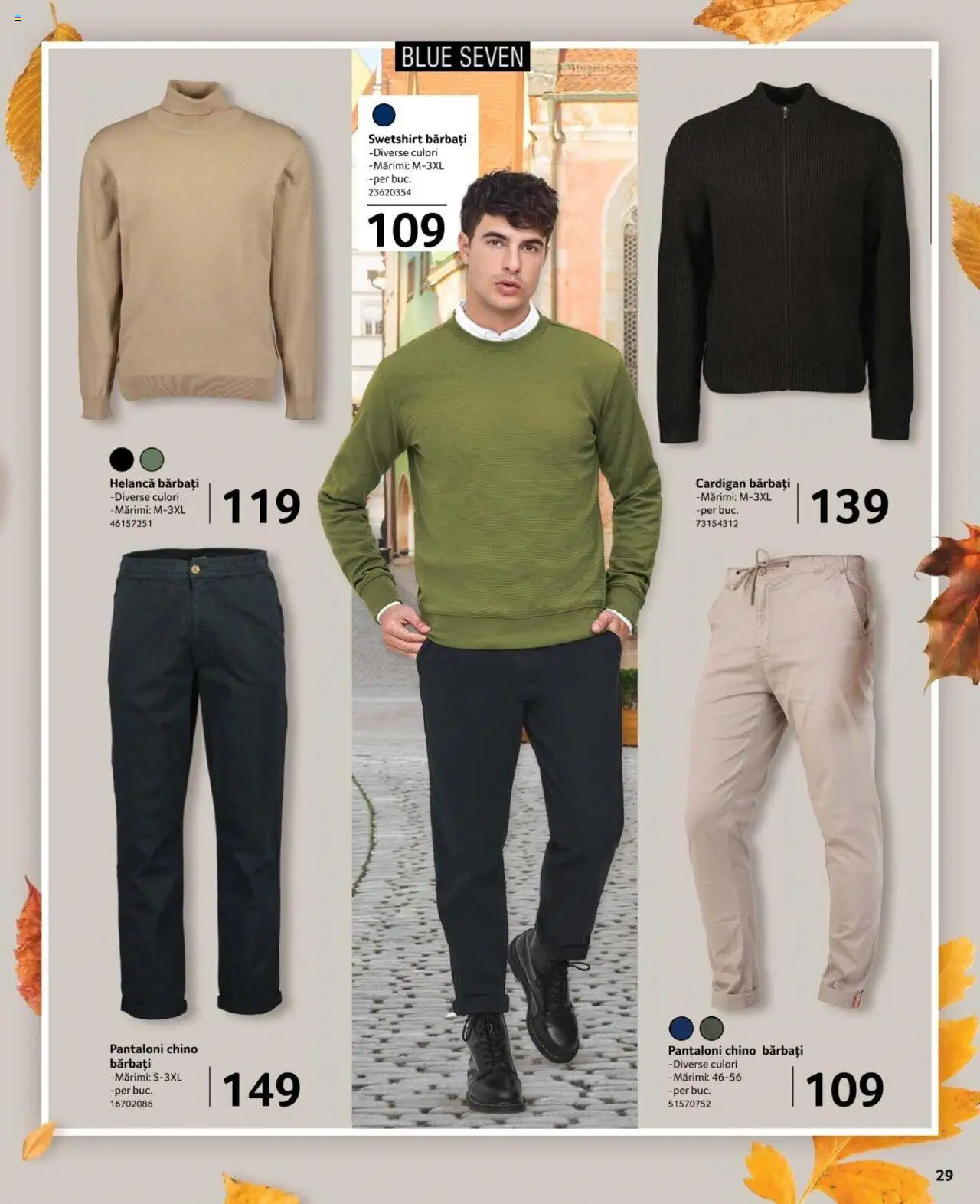 Catalog Selgros 27 Septembrie - 24 Octombrie 2024 | Pagina 29