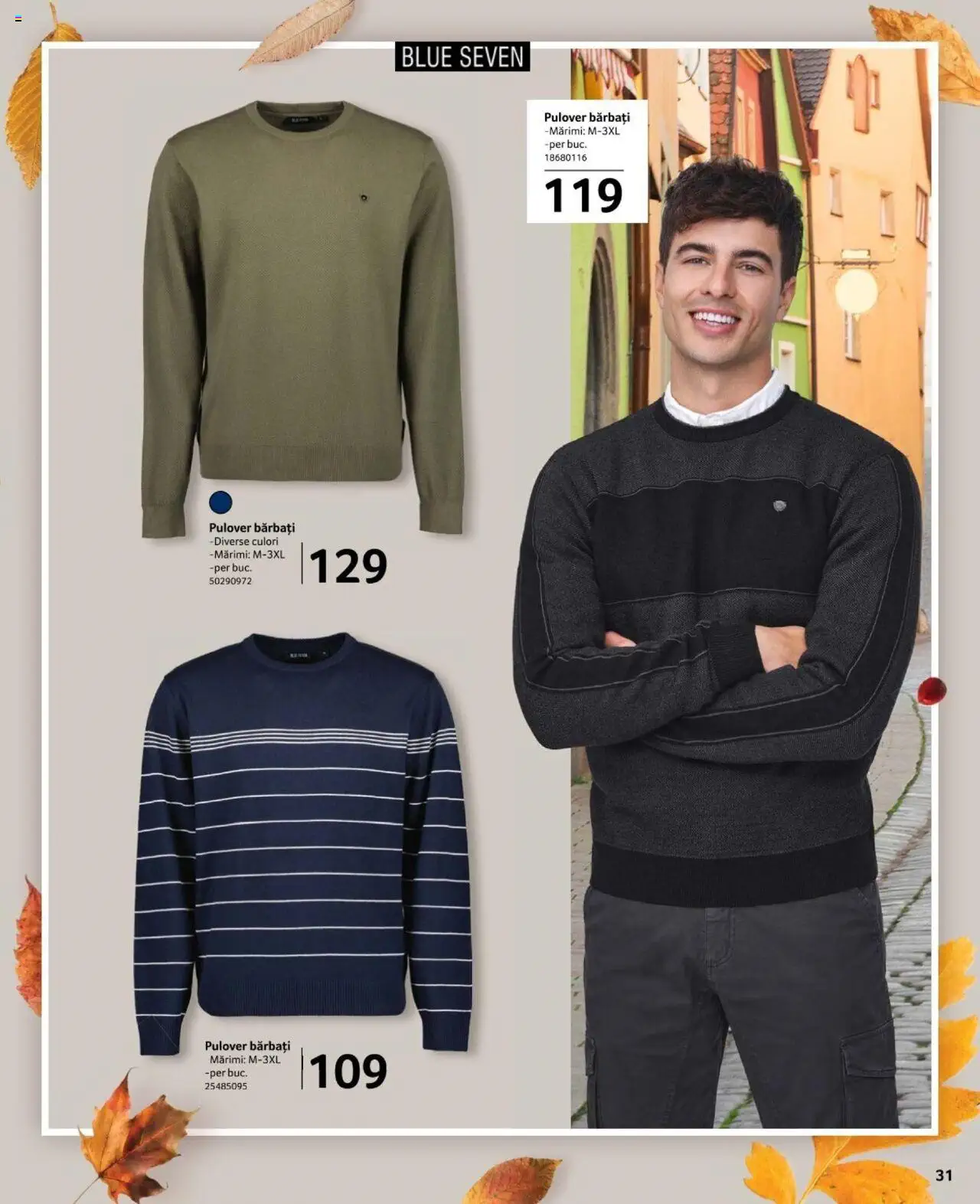 Catalog Selgros 27 Septembrie - 24 Octombrie 2024 | Pagina 31