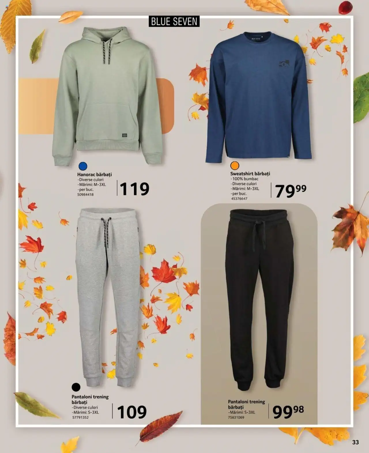 Catalog Selgros 27 Septembrie - 24 Octombrie 2024 | Pagina 33