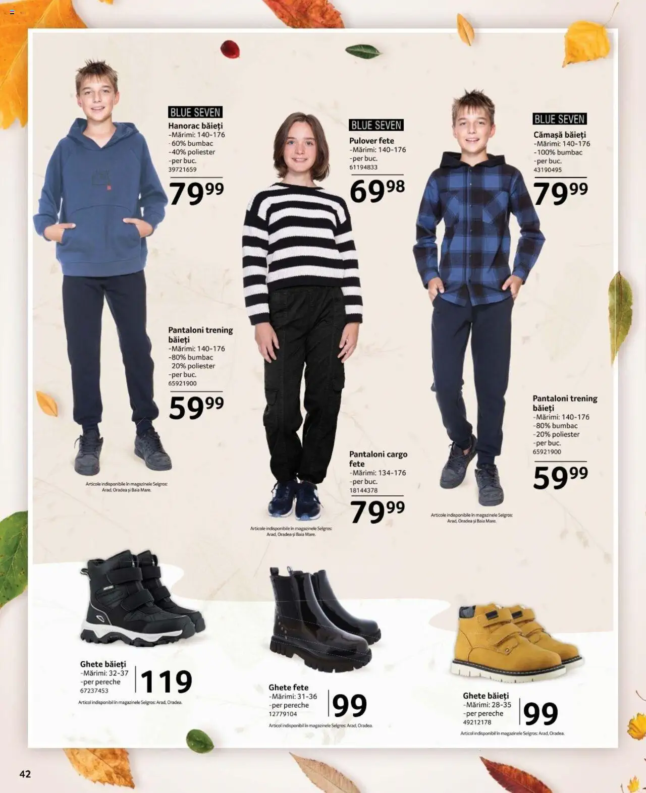 Catalog Selgros 27 Septembrie - 24 Octombrie 2024 | Pagina 42