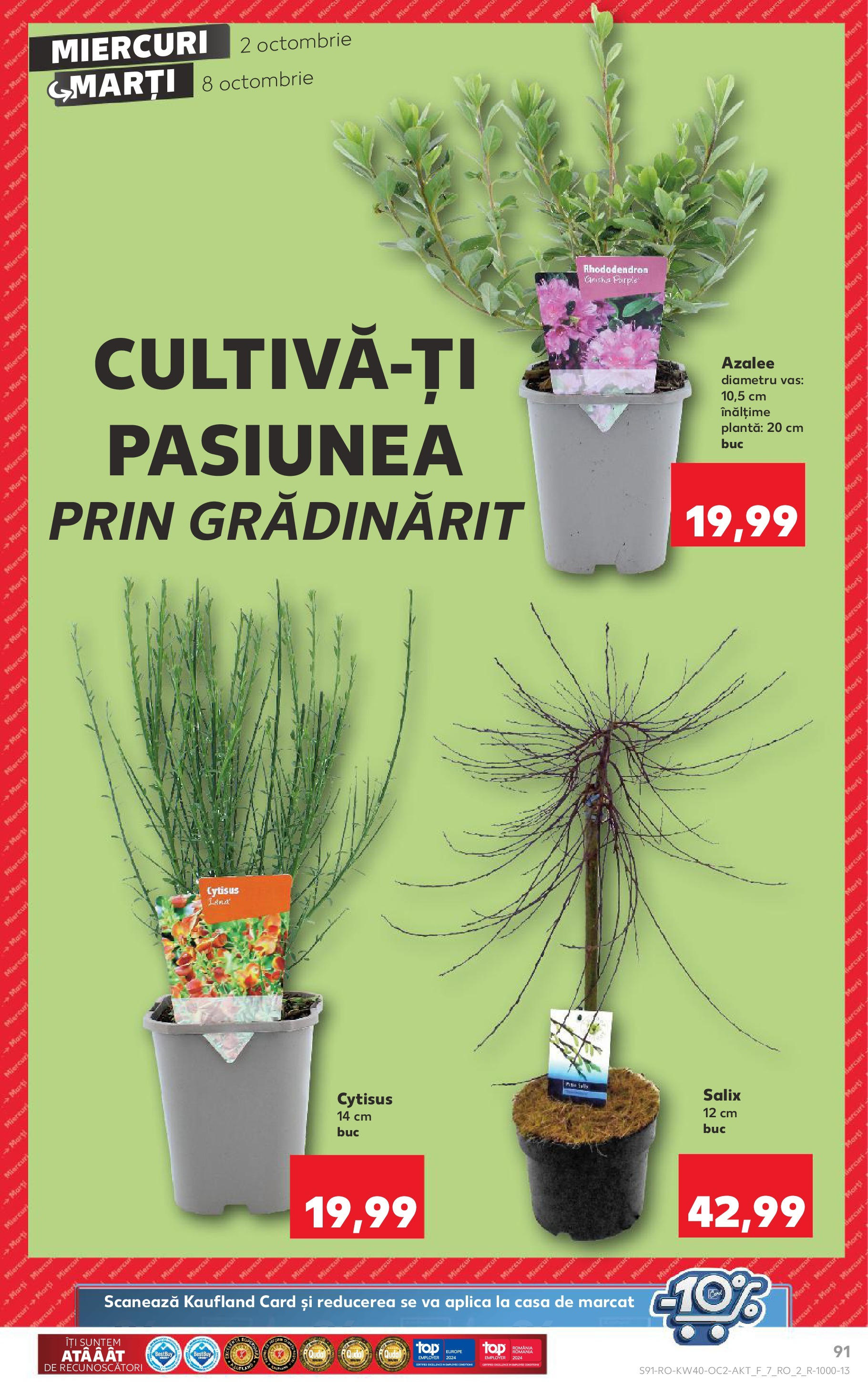Catalog Kaufland 2 - 8 Octombrie 2024 | Pagina 91