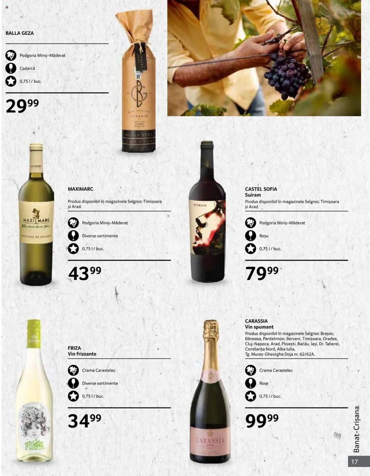 Catalog Selgros 1 - 31 Octombrie 2024 | Pagina 17