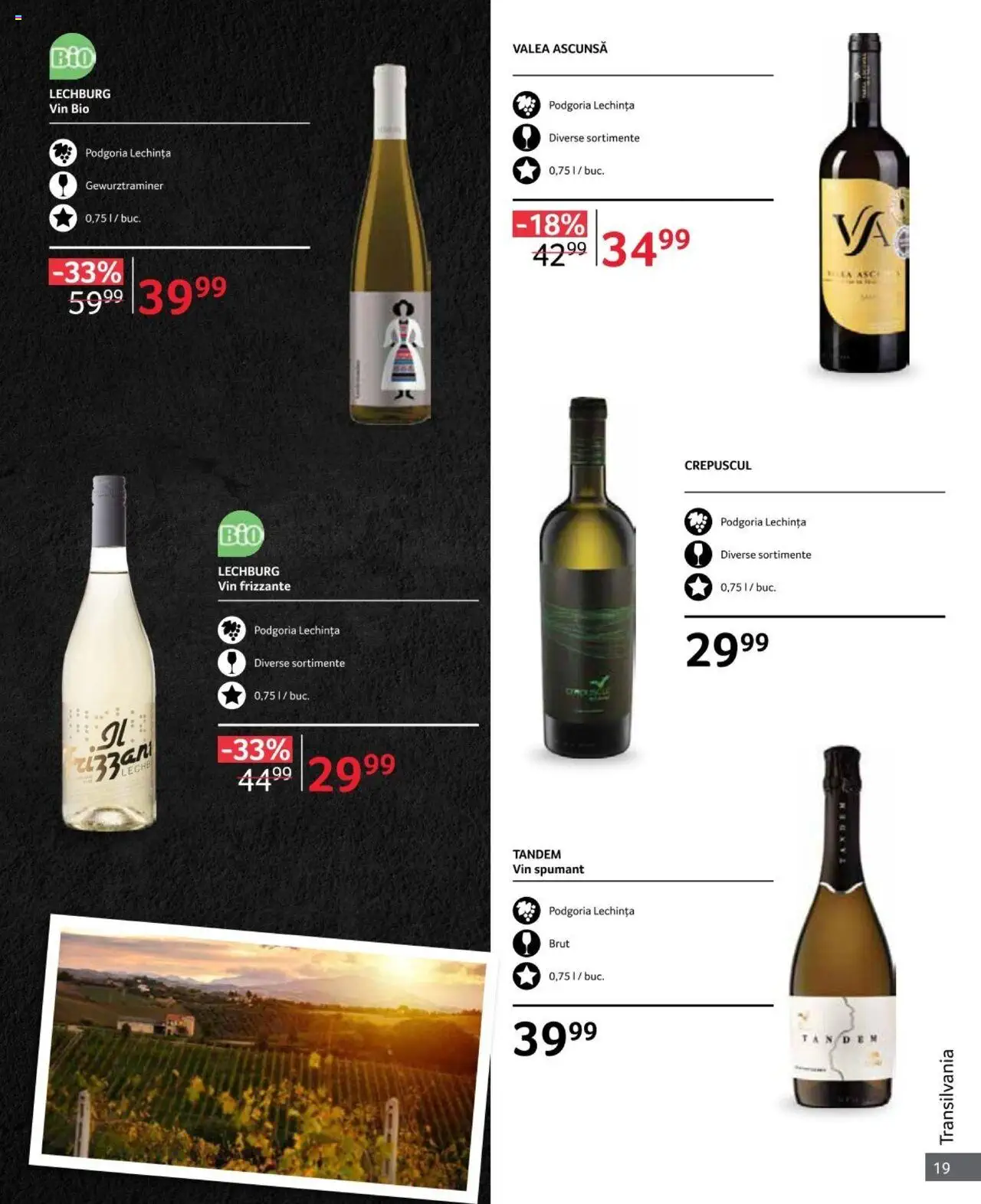 Catalog Selgros 1 - 31 Octombrie 2024 | Pagina 19