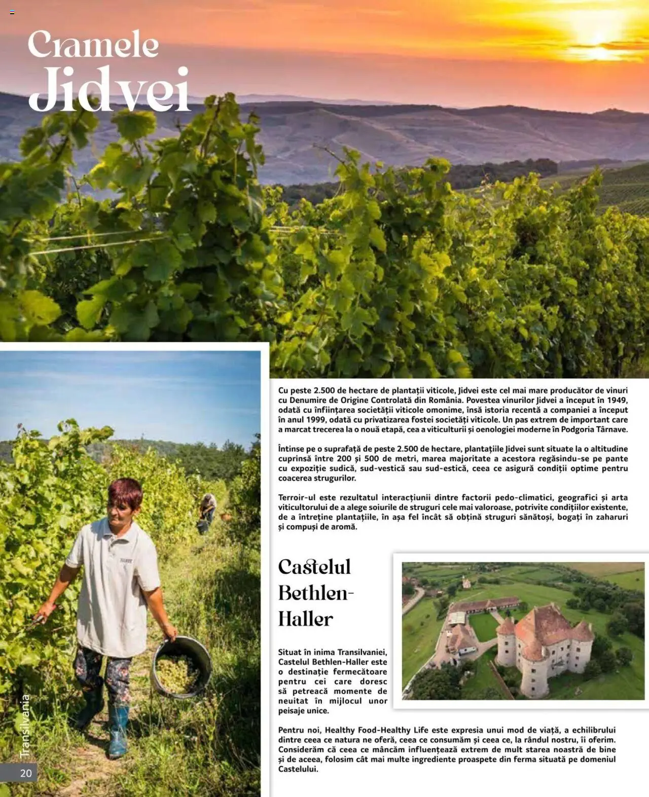 Catalog Selgros 1 - 31 Octombrie 2024 | Pagina 20