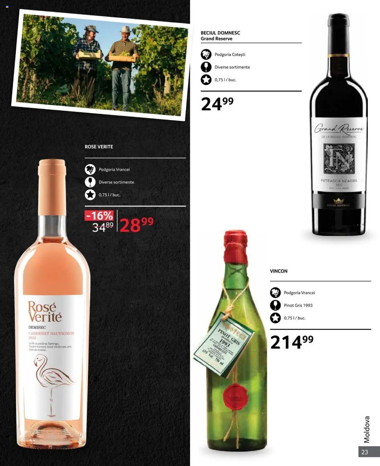 Catalog Selgros 1 - 31 Octombrie 2024 | Pagina 23