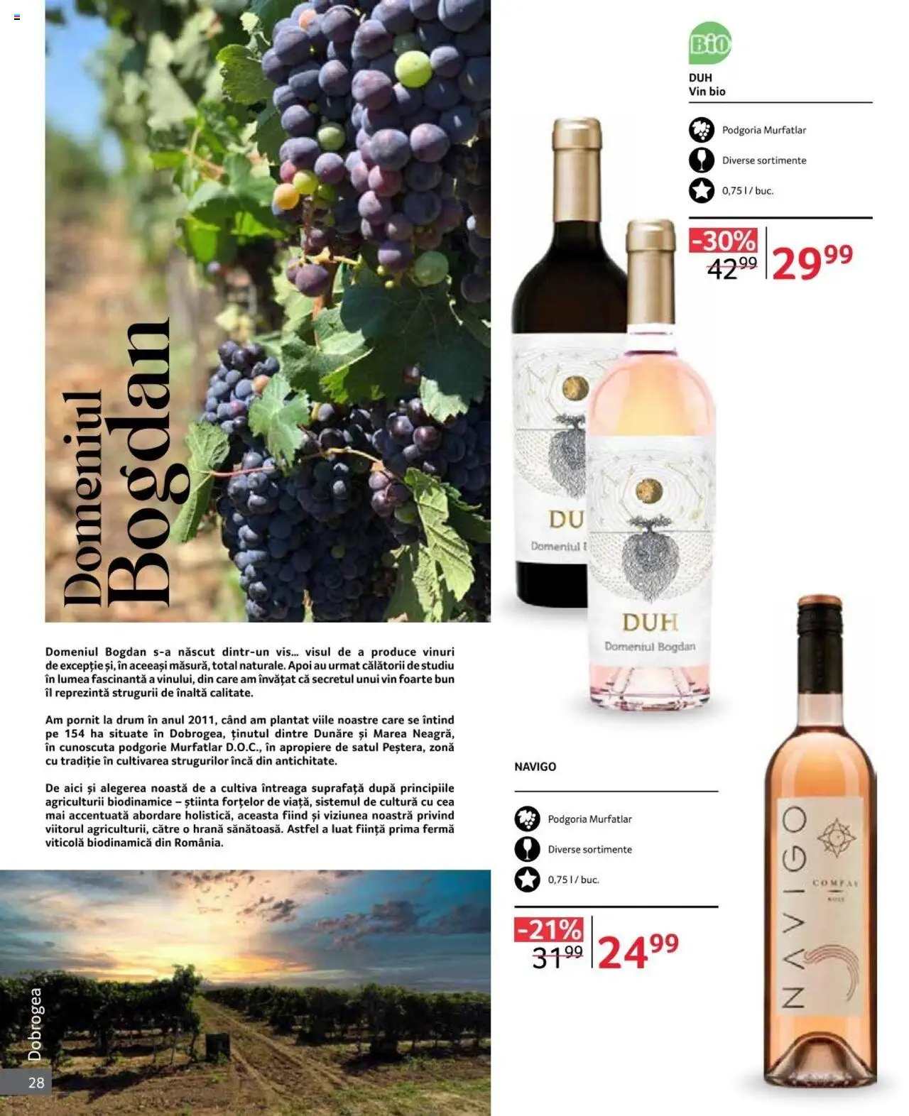 Catalog Selgros 1 - 31 Octombrie 2024 | Pagina 28