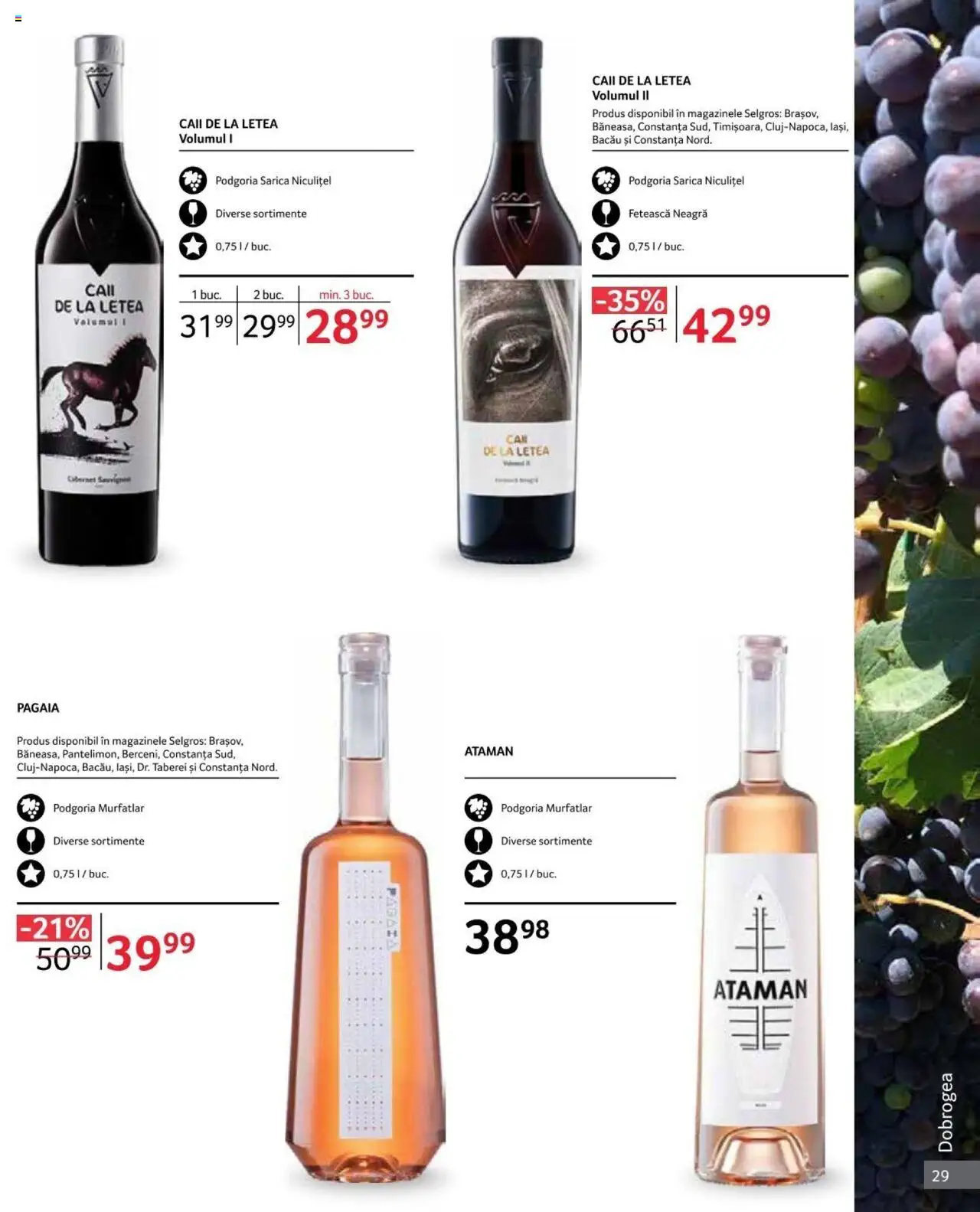 Catalog Selgros 1 - 31 Octombrie 2024 | Pagina 29