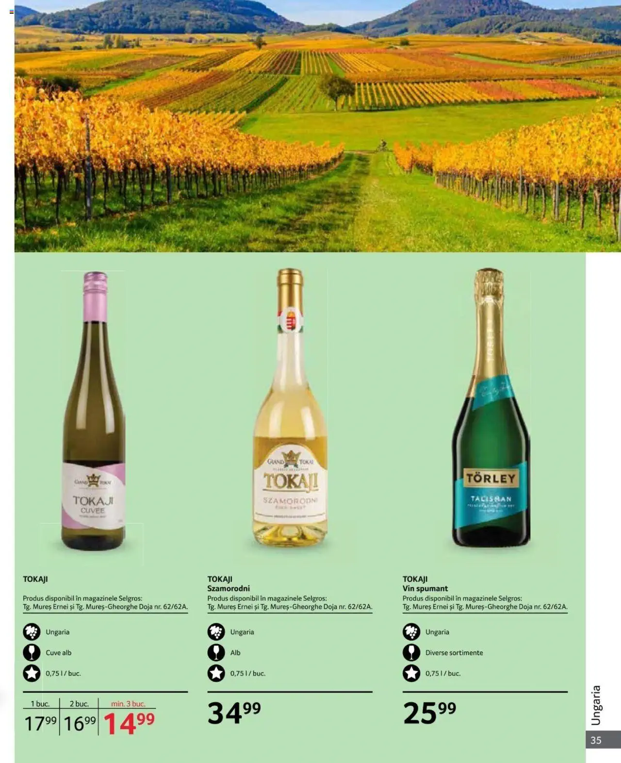 Catalog Selgros 1 - 31 Octombrie 2024 | Pagina 35