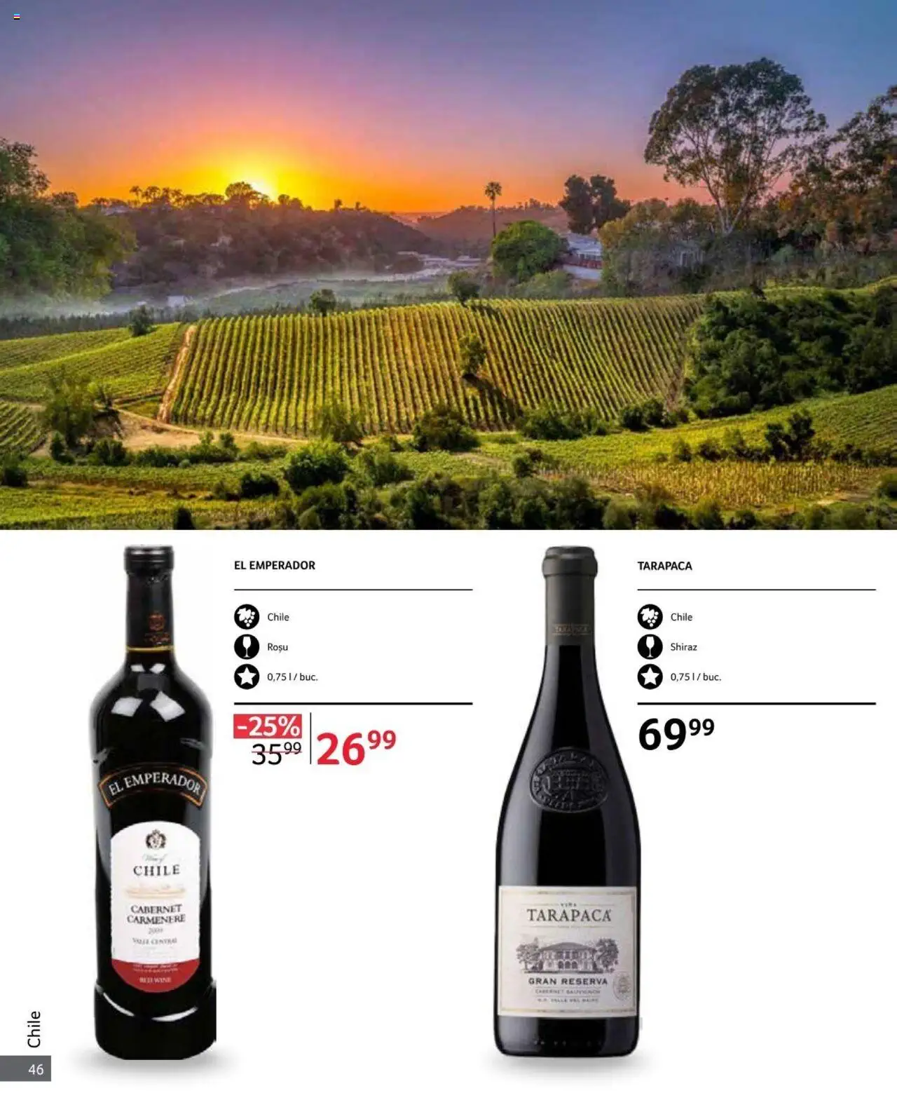 Catalog Selgros 1 - 31 Octombrie 2024 | Pagina 46
