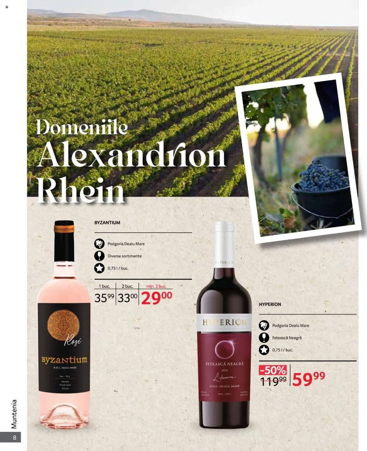 Catalog Selgros 1 - 31 Octombrie 2024 | Pagina 8