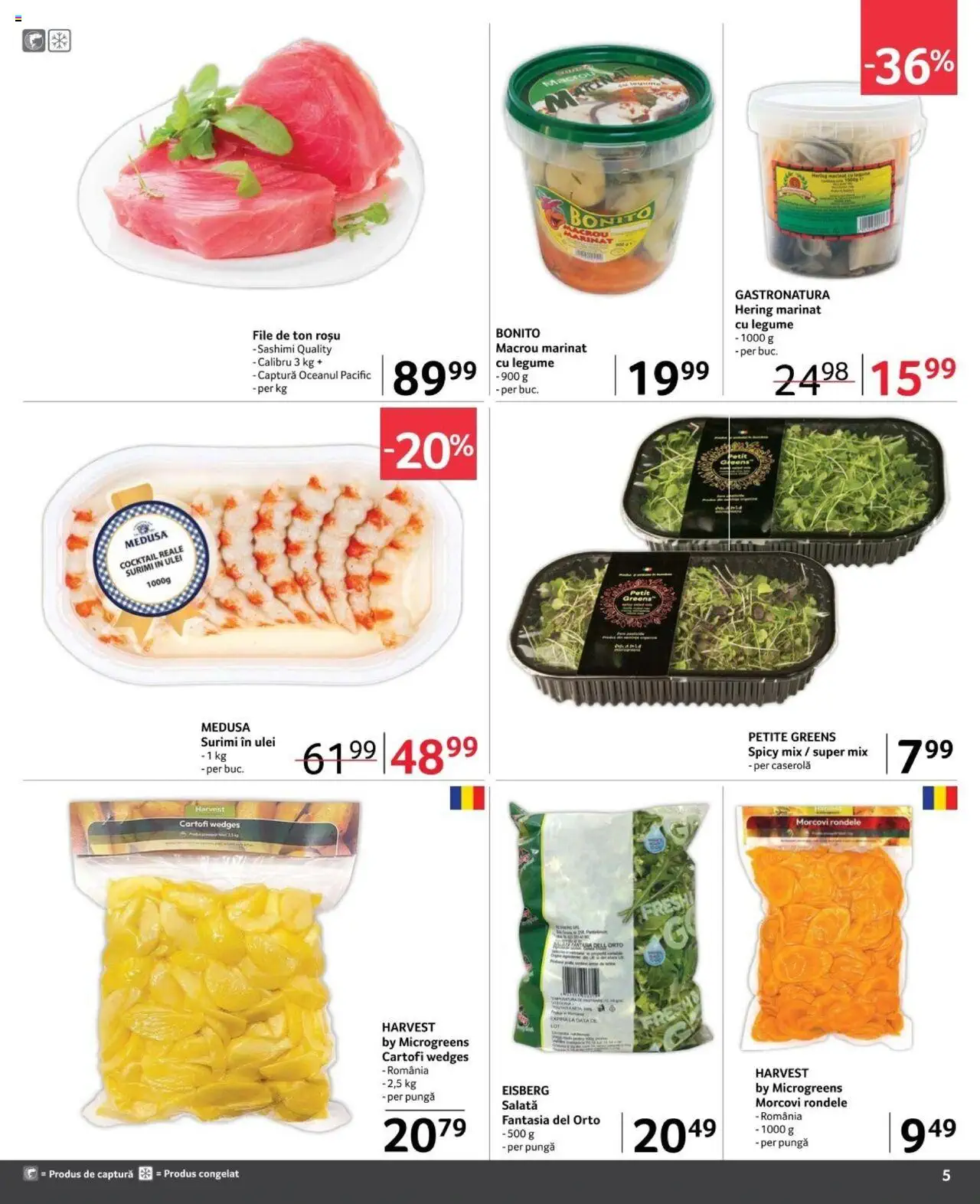 Catalog Selgros 1 - 31 Octombrie 2024 | Pagina 5