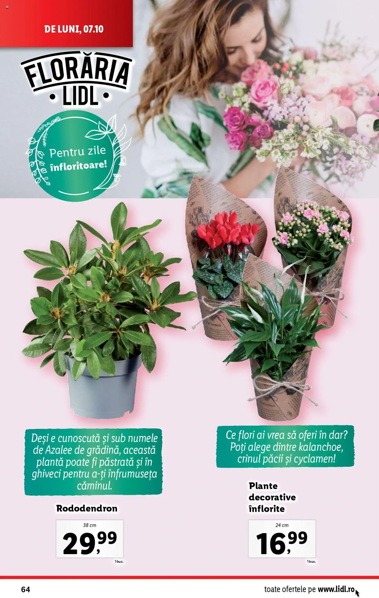 Catalog LIDL 7 - 13 Octombrie 2024 | Pagina 64