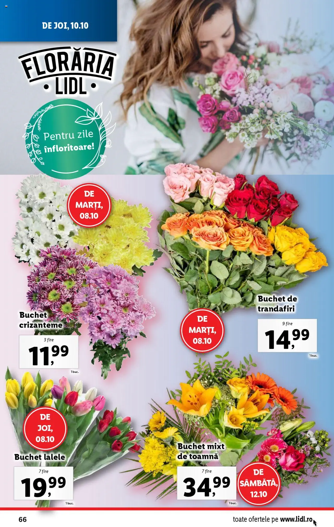 Catalog LIDL 7 - 13 Octombrie 2024 | Pagina 66