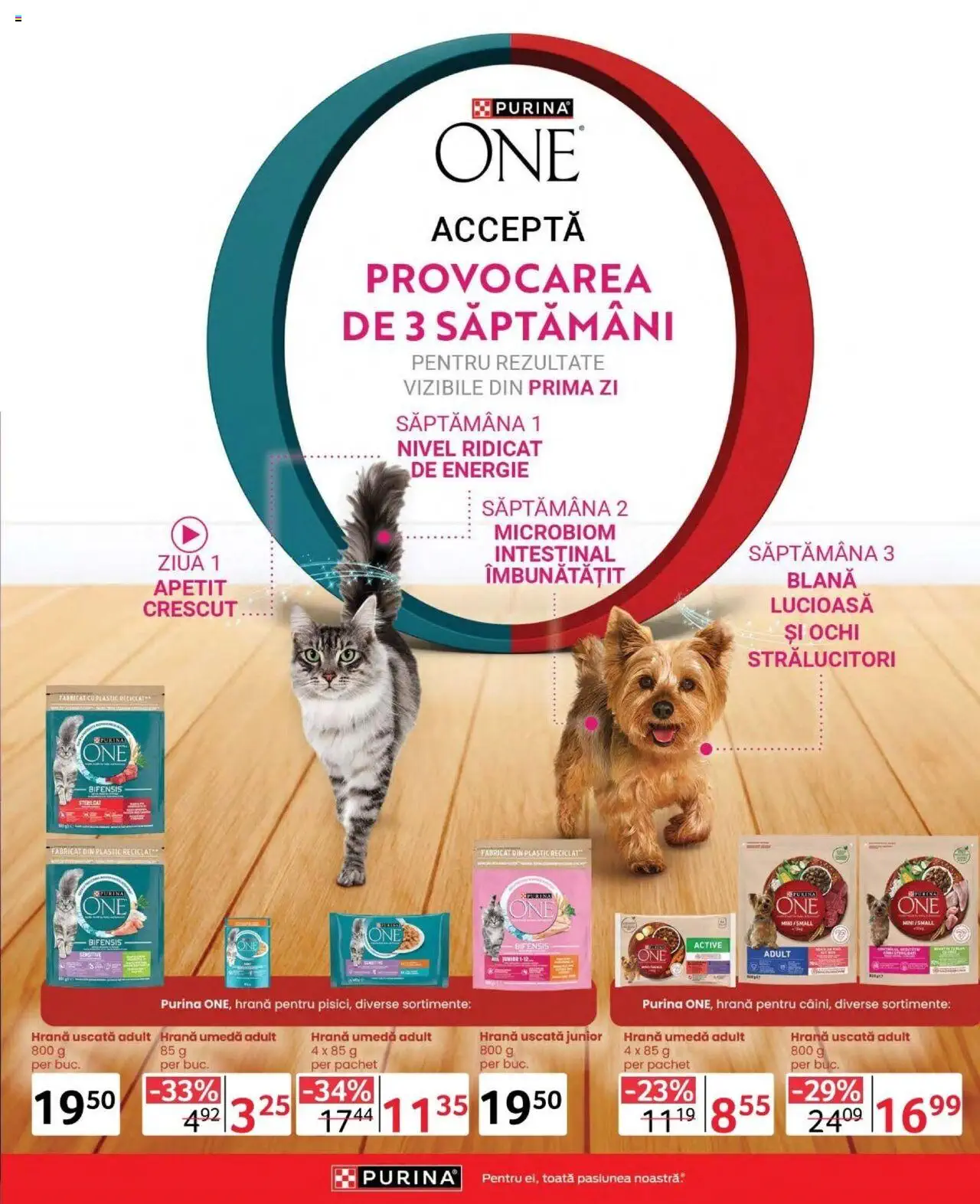 Catalog Selgros 4 - 17 Octombrie 2024 | Pagina 29
