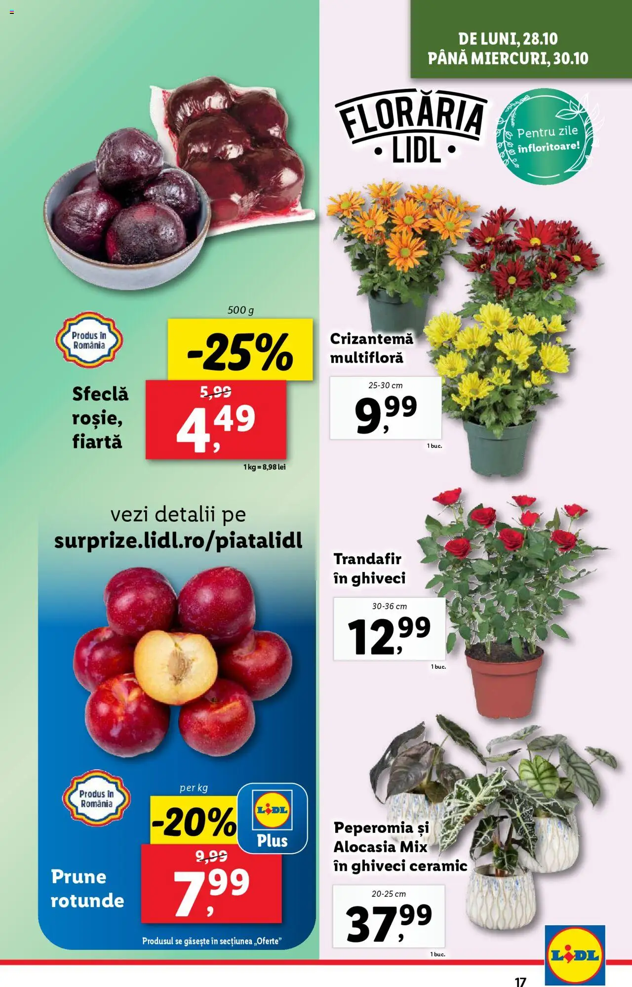 Catalog LIDL 28 Octombrie - 3 Noiembrie 2024 | Pagina 17