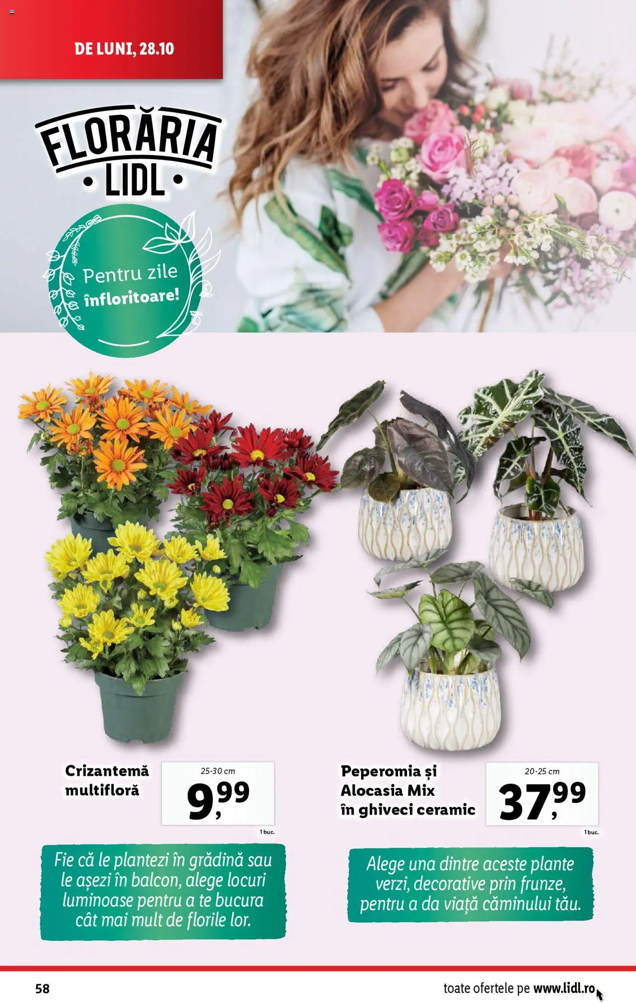 Catalog LIDL 28 Octombrie - 3 Noiembrie 2024 | Pagina 58