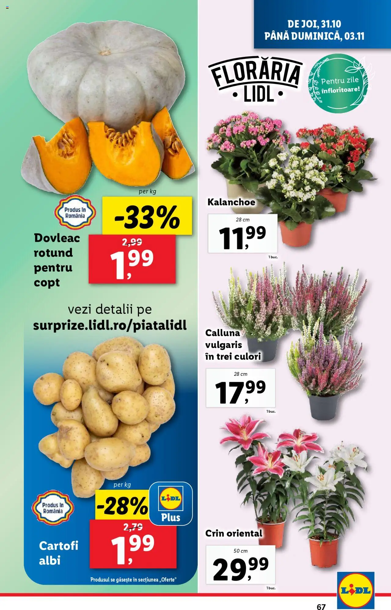 Catalog LIDL 28 Octombrie - 3 Noiembrie 2024 | Pagina 67