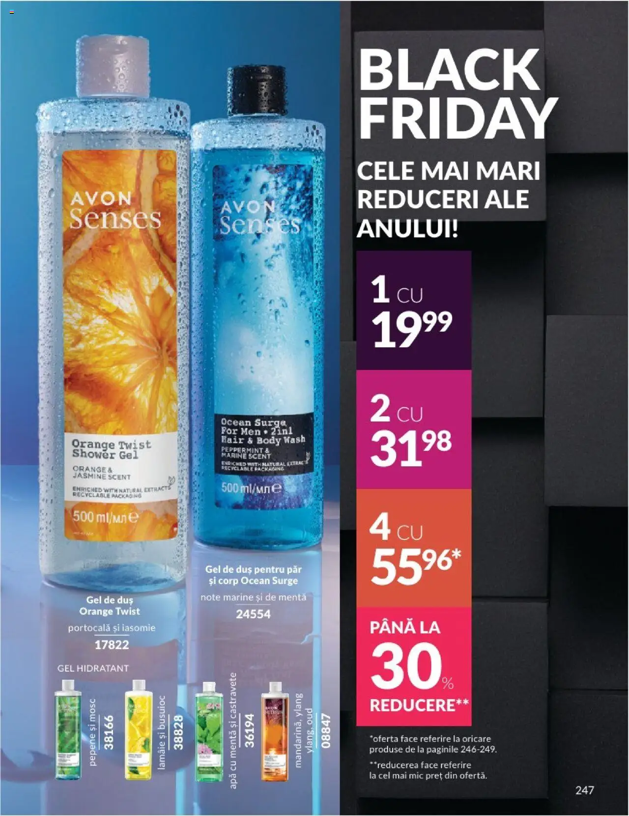 Catalog Avon 1 - 14 Noiembrie 2024 | Pagina 13