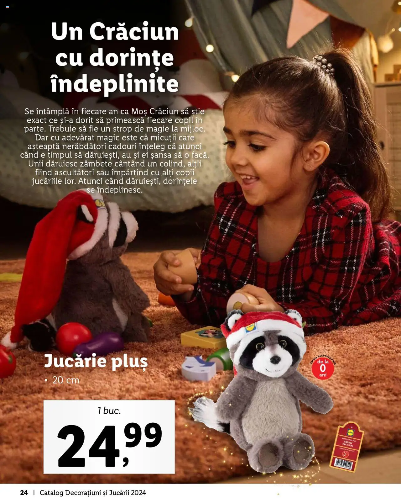 Catalog LIDL 4 Noiembrie - 31 Decembrie 2024 | Pagina 24