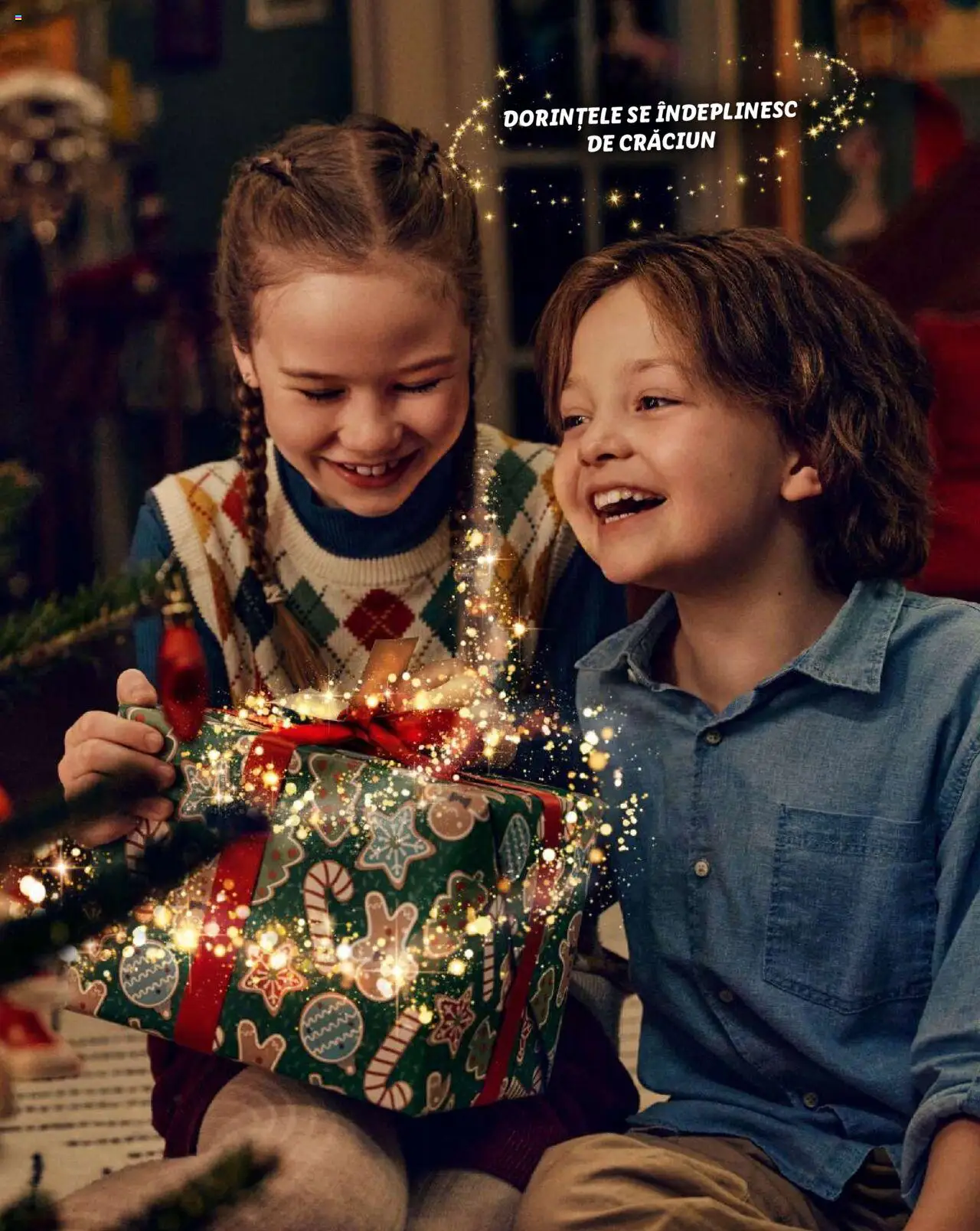 Catalog LIDL 4 Noiembrie - 31 Decembrie 2024 | Pagina 51