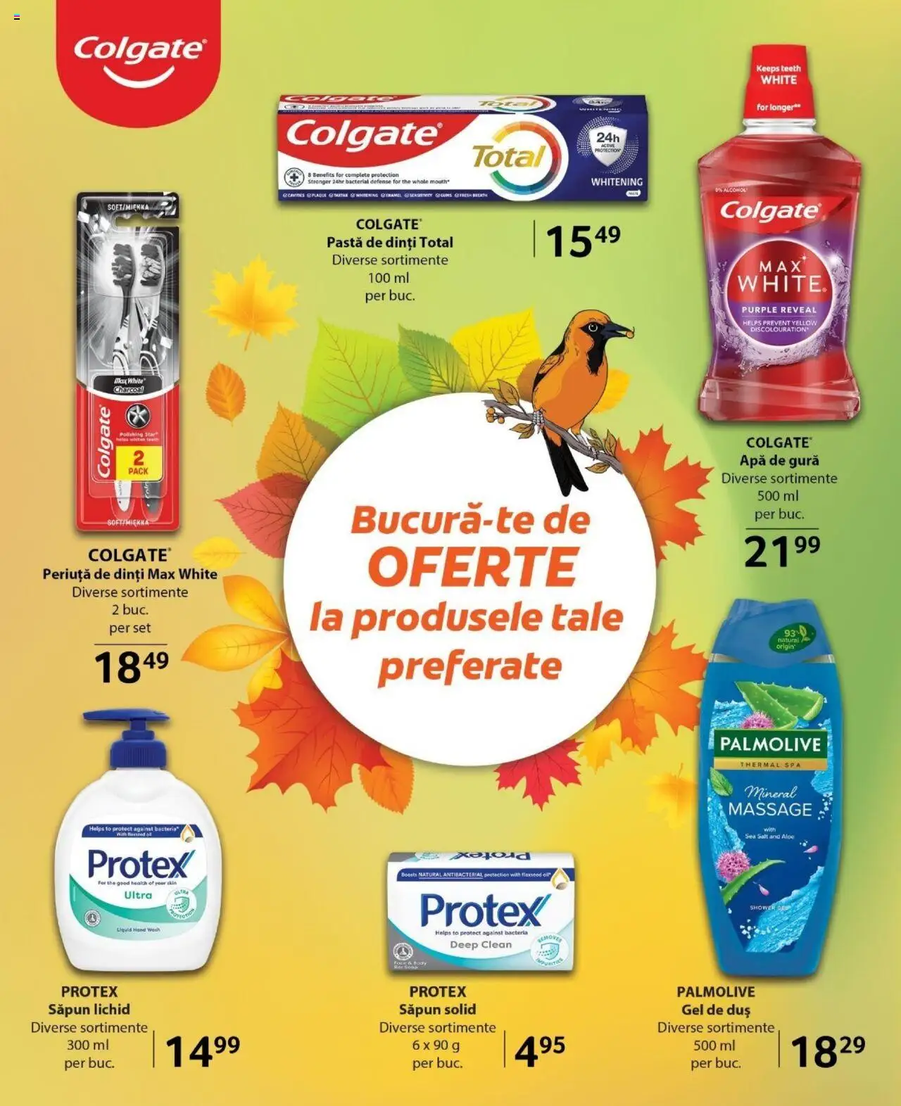 Catalog Selgros 1 - 14 Noiembrie 2024 | Pagina 29