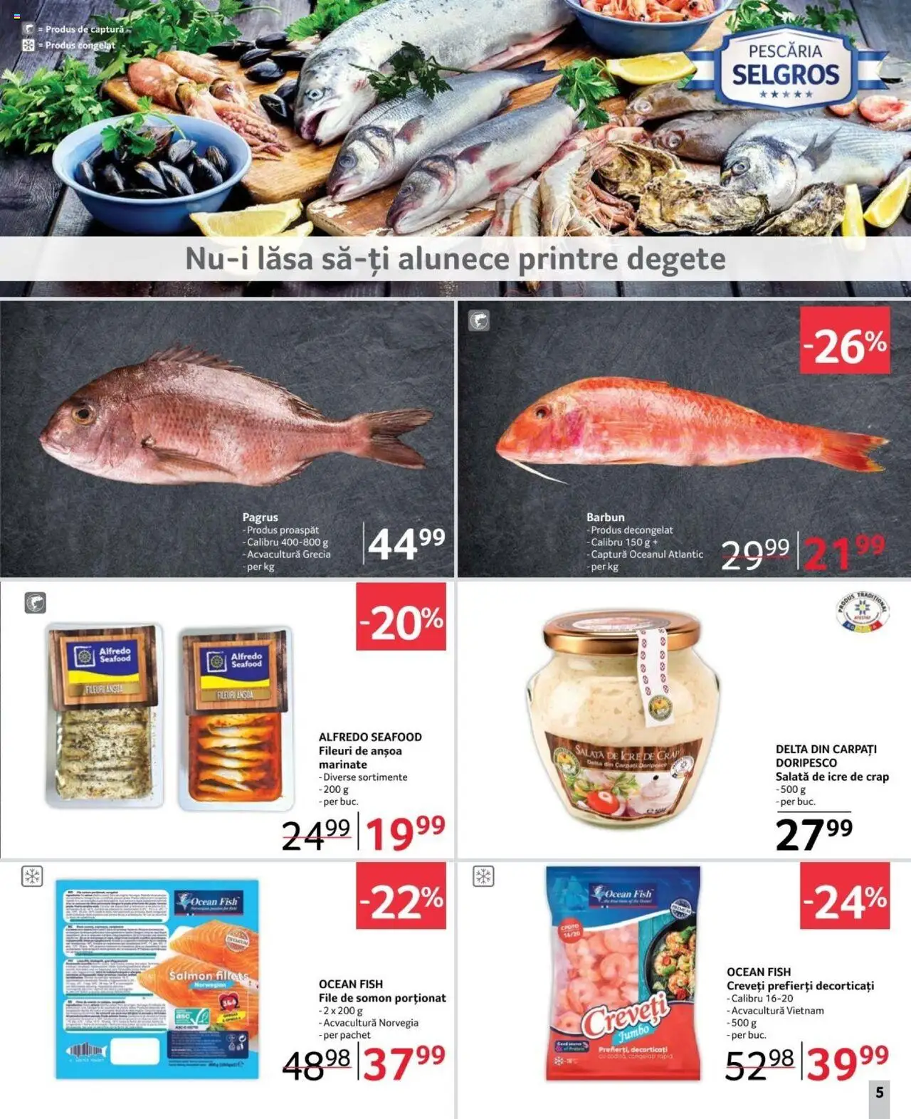 Catalog Selgros 1 - 14 Noiembrie 2024 | Pagina 5