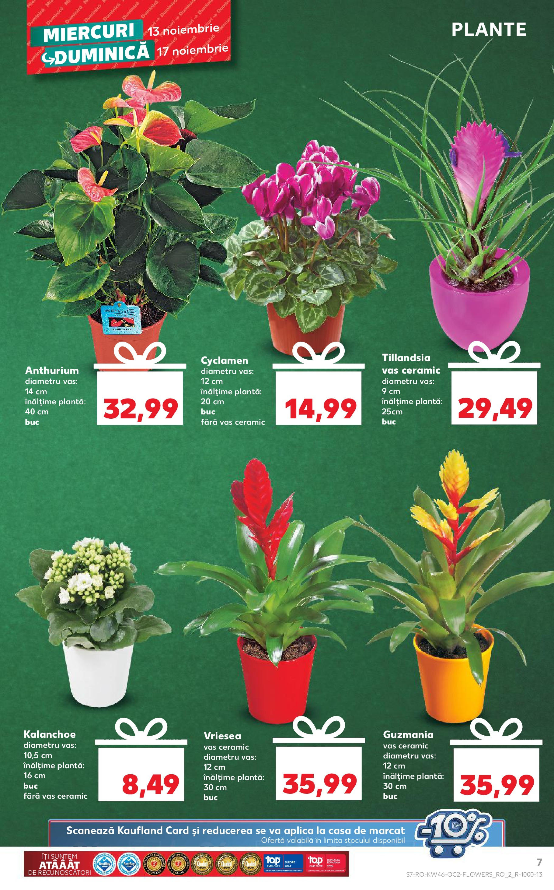 Catalog Kaufland 13 - 19 Noiembrie 2024 | Pagina 7