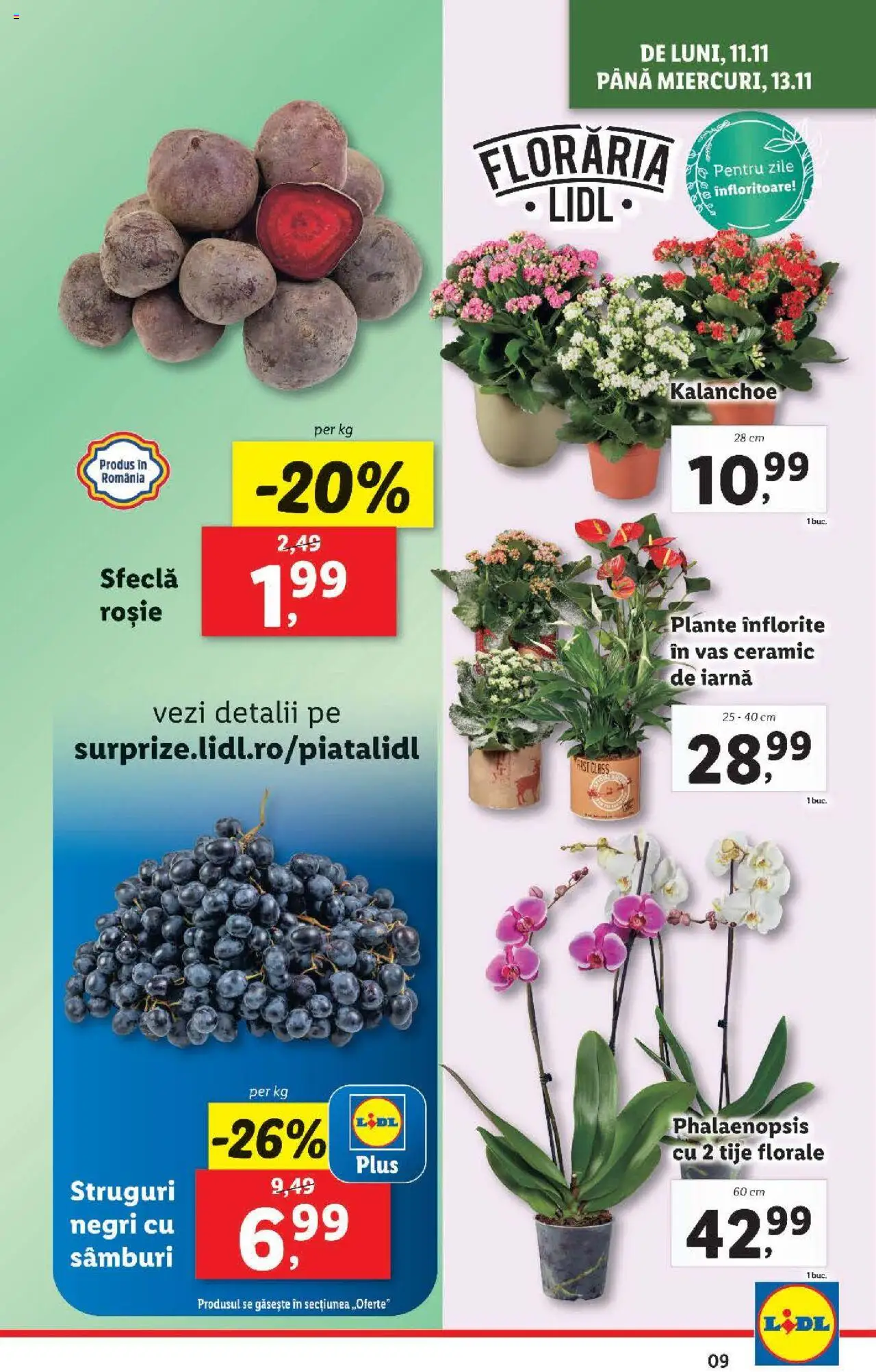 Catalog LIDL 11 - 17 Noiembrie 2024 | Pagina 9