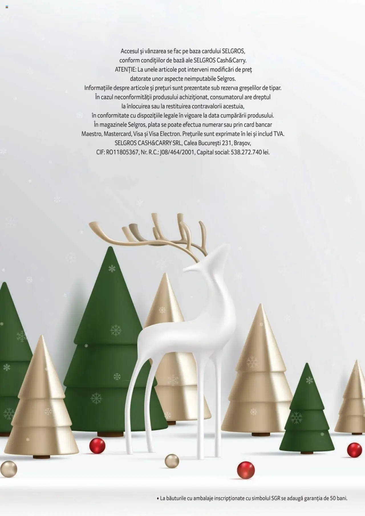 Catalog Selgros 4 Noiembrie 2024 - 7 Ianuarie 2025 | Pagina 100