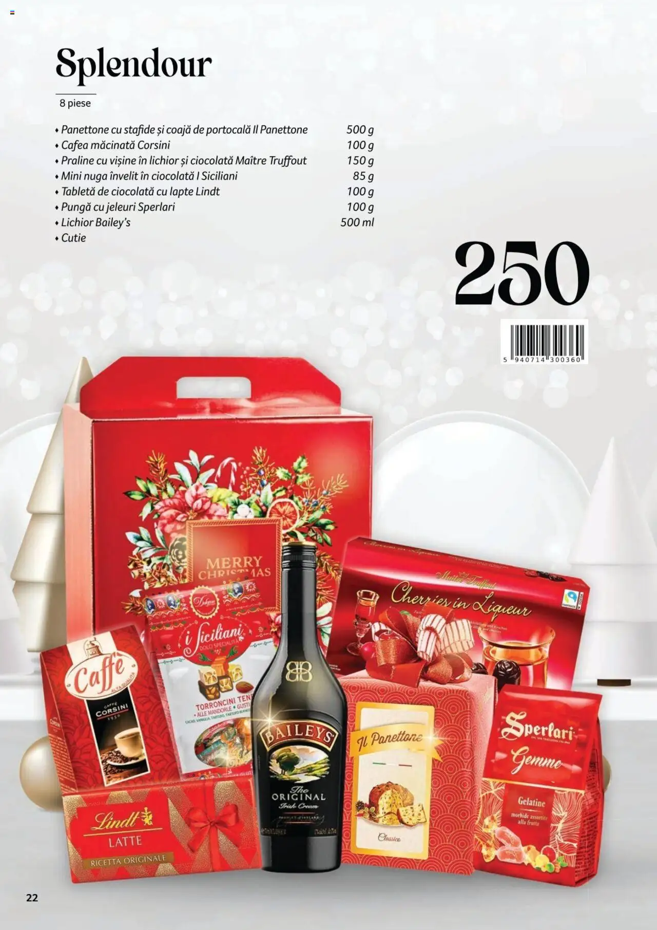 Catalog Selgros 4 Noiembrie 2024 - 7 Ianuarie 2025 | Pagina 22