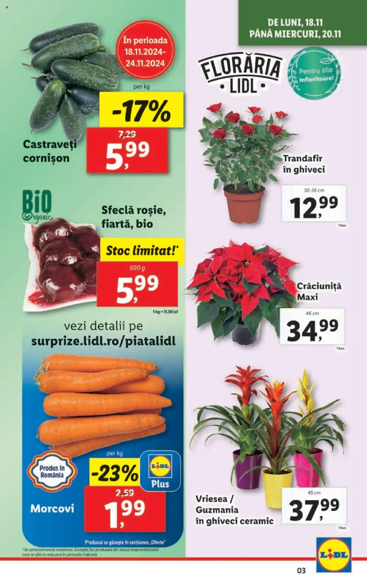 Catalog LIDL 18 - 24 Noiembrie 2024 | Pagina 3