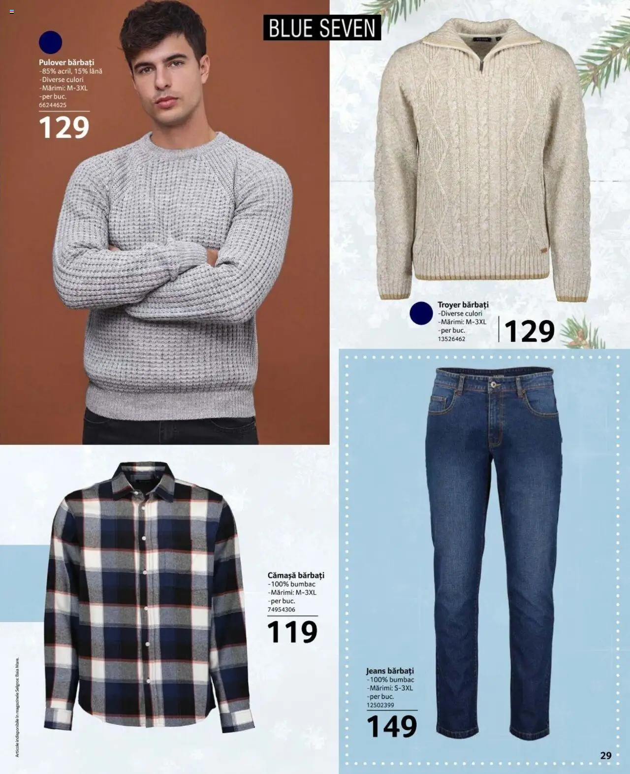 Catalog Selgros 15 Noiembrie - 12 Decembrie 2024 | Pagina 29