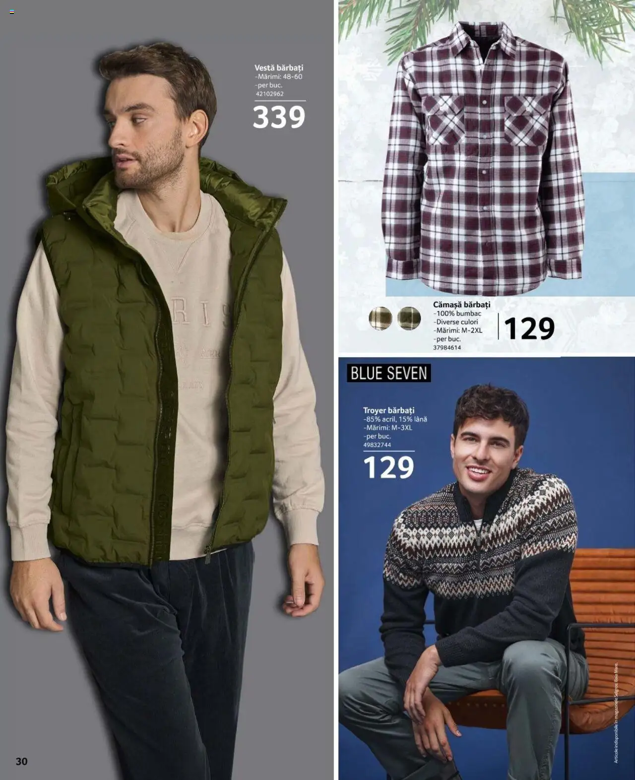 Catalog Selgros 15 Noiembrie - 12 Decembrie 2024 | Pagina 30