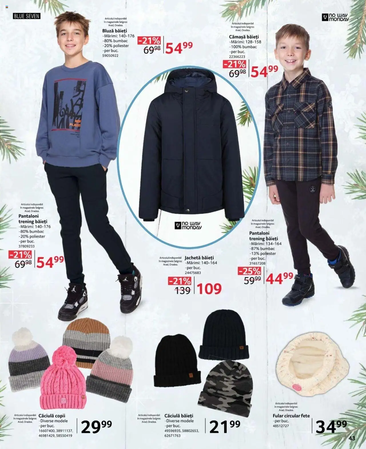 Catalog Selgros 15 Noiembrie - 12 Decembrie 2024 | Pagina 43