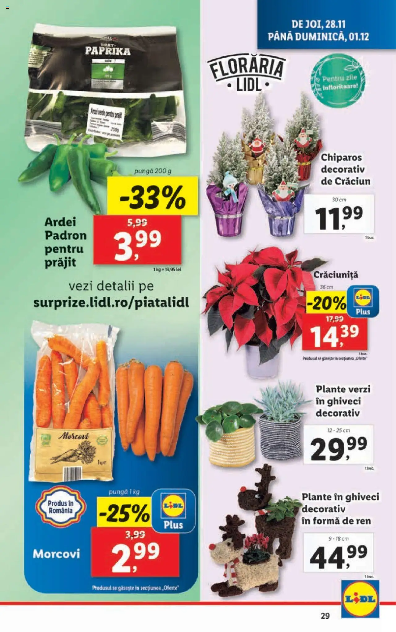 Catalog LIDL 25 Noiembrie - 1 Decembrie 2024 | Pagina 29