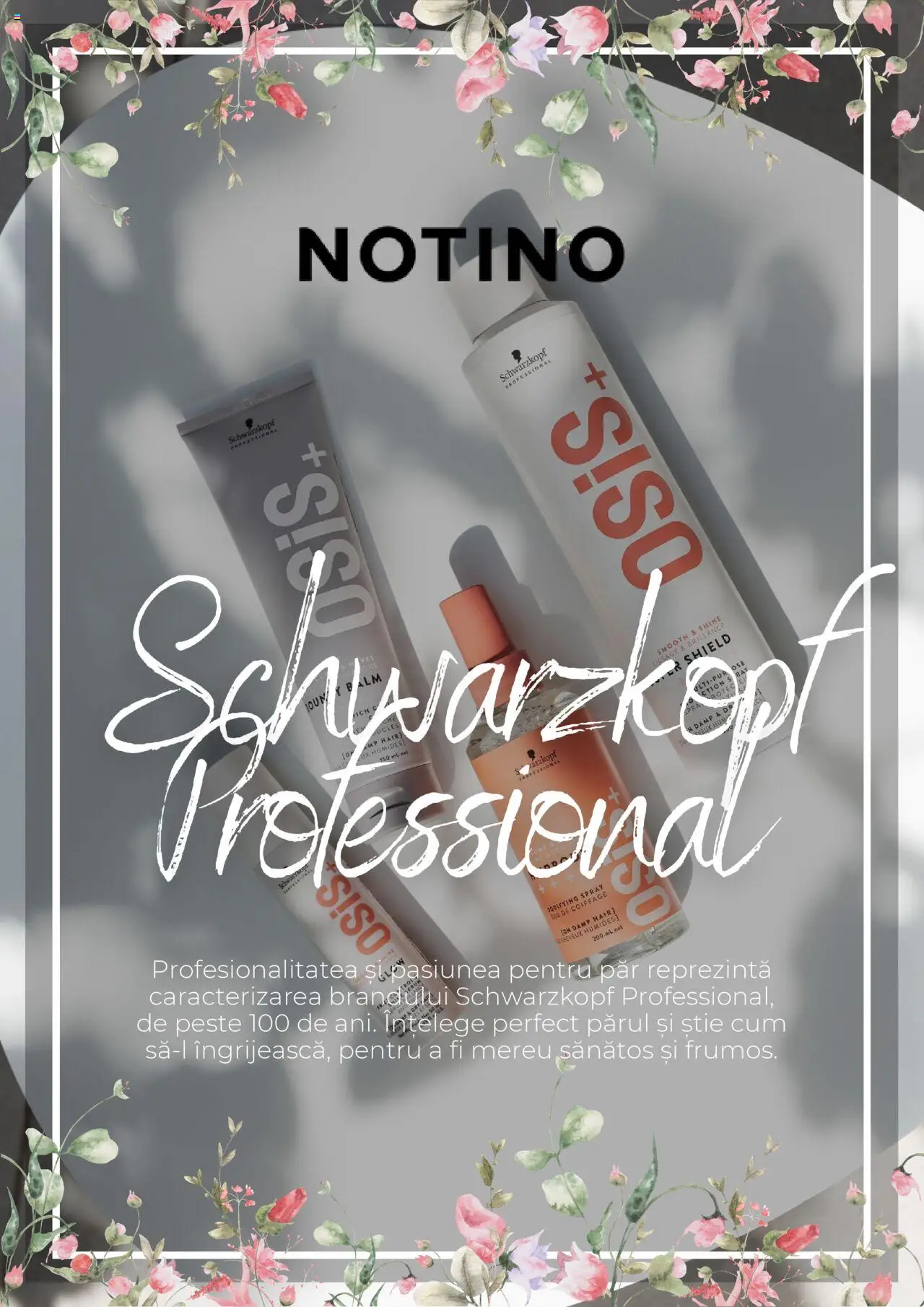 Catalog Notino 1 Decembrie 2024 - 2 Ianuarie 2025 | Pagina 1