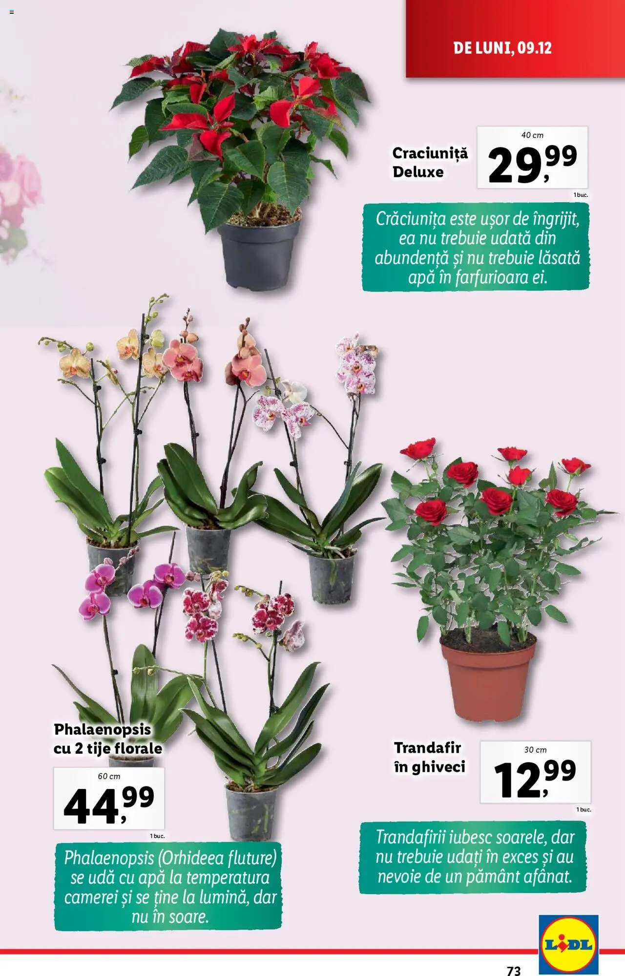 Catalog LIDL 9 - 15 Decembrie 2024 | Pagina 73