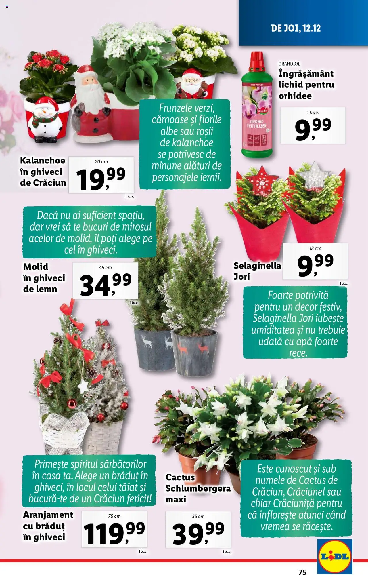 Catalog LIDL 9 - 15 Decembrie 2024 | Pagina 75