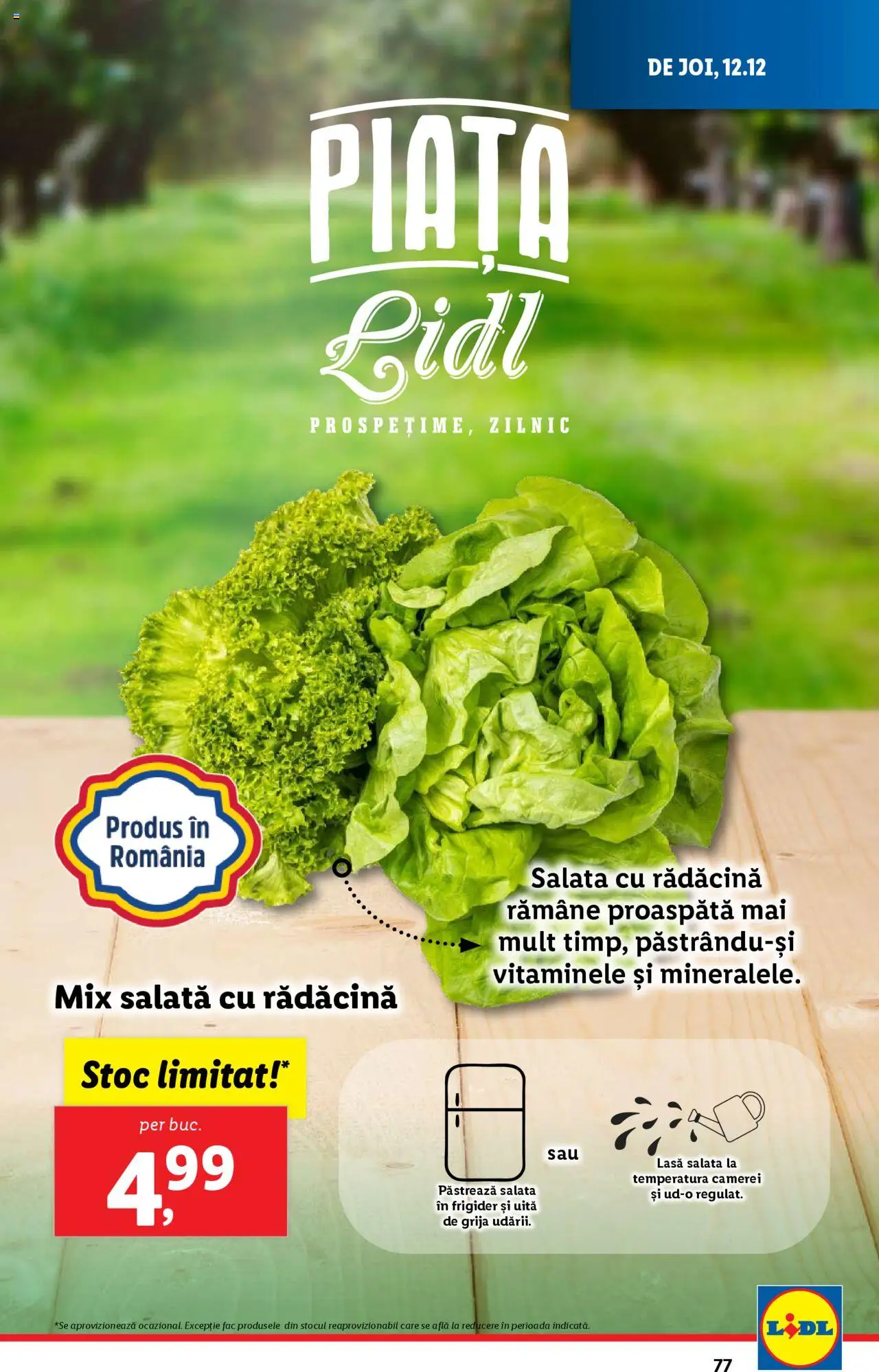 Catalog LIDL 9 - 15 Decembrie 2024 | Pagina 77