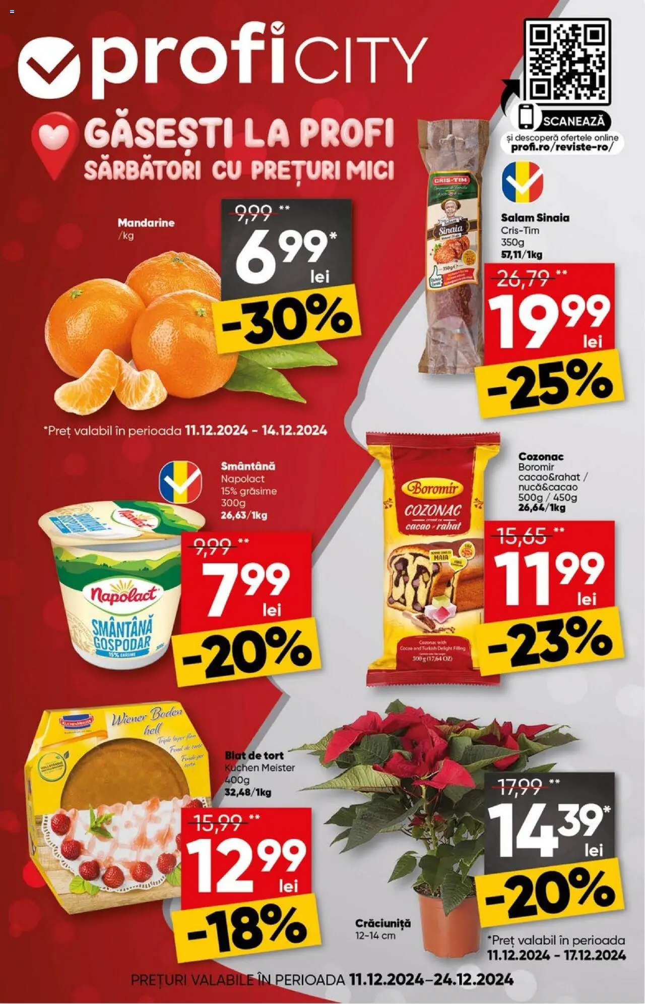 Catalog Profi 11 - 24 Decembrie 2024 | Pagina 1