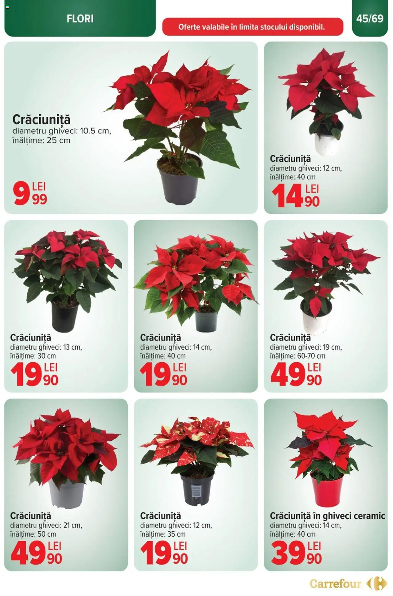 Catalog Carrefour 27 Decembrie 2024 - 7 Ianuarie 2025 | Pagina 45