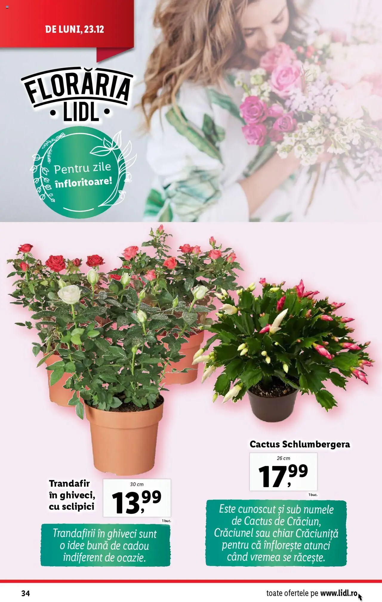 Catalog LIDL 27 - 31 Decembrie 2024 | Pagina 34